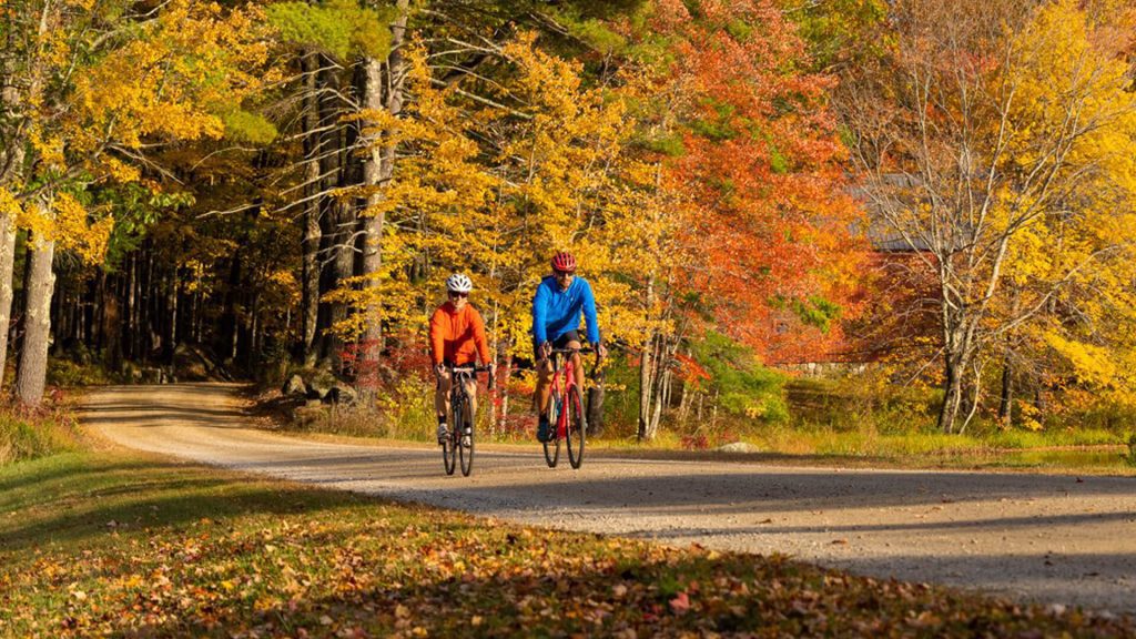 Cyclists on an autumn trail