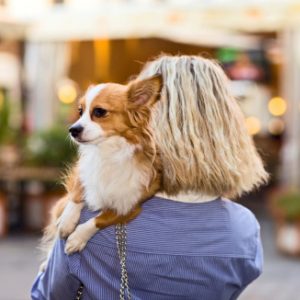 Woman holding small dog