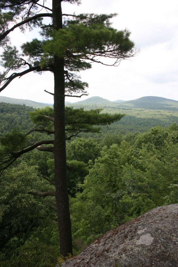 Tippin Rock in Swanzey, NH