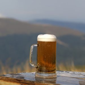 A glass stein of beer with mountains in the background