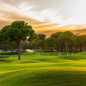 expansive golf course with golf carts riding along a path