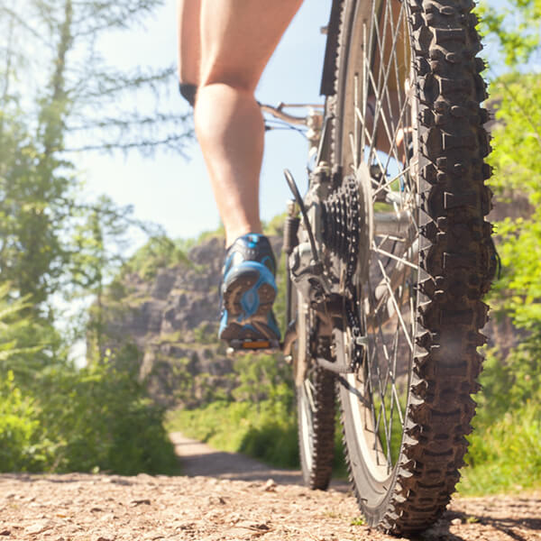 View of a mountain biker starting a downhill descent on a wooded trail