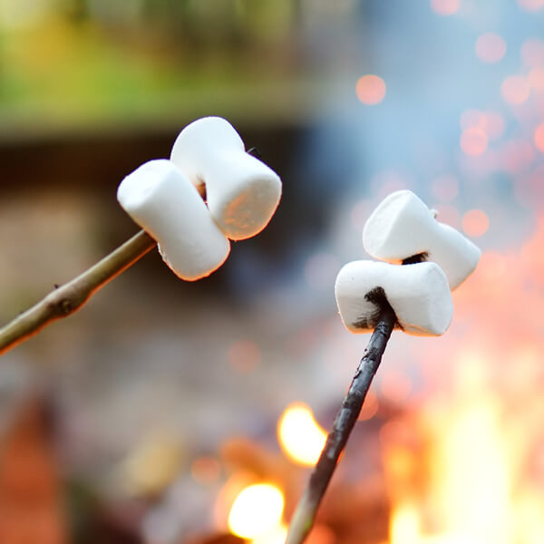 Marshmallows on stick skewers being roasted over a campfire