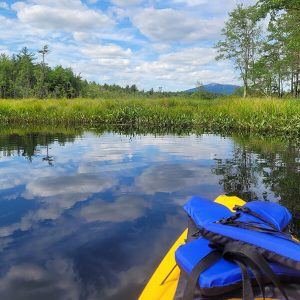 View from kayak in a Fitzwilliam new Kayak/Canoe rental company